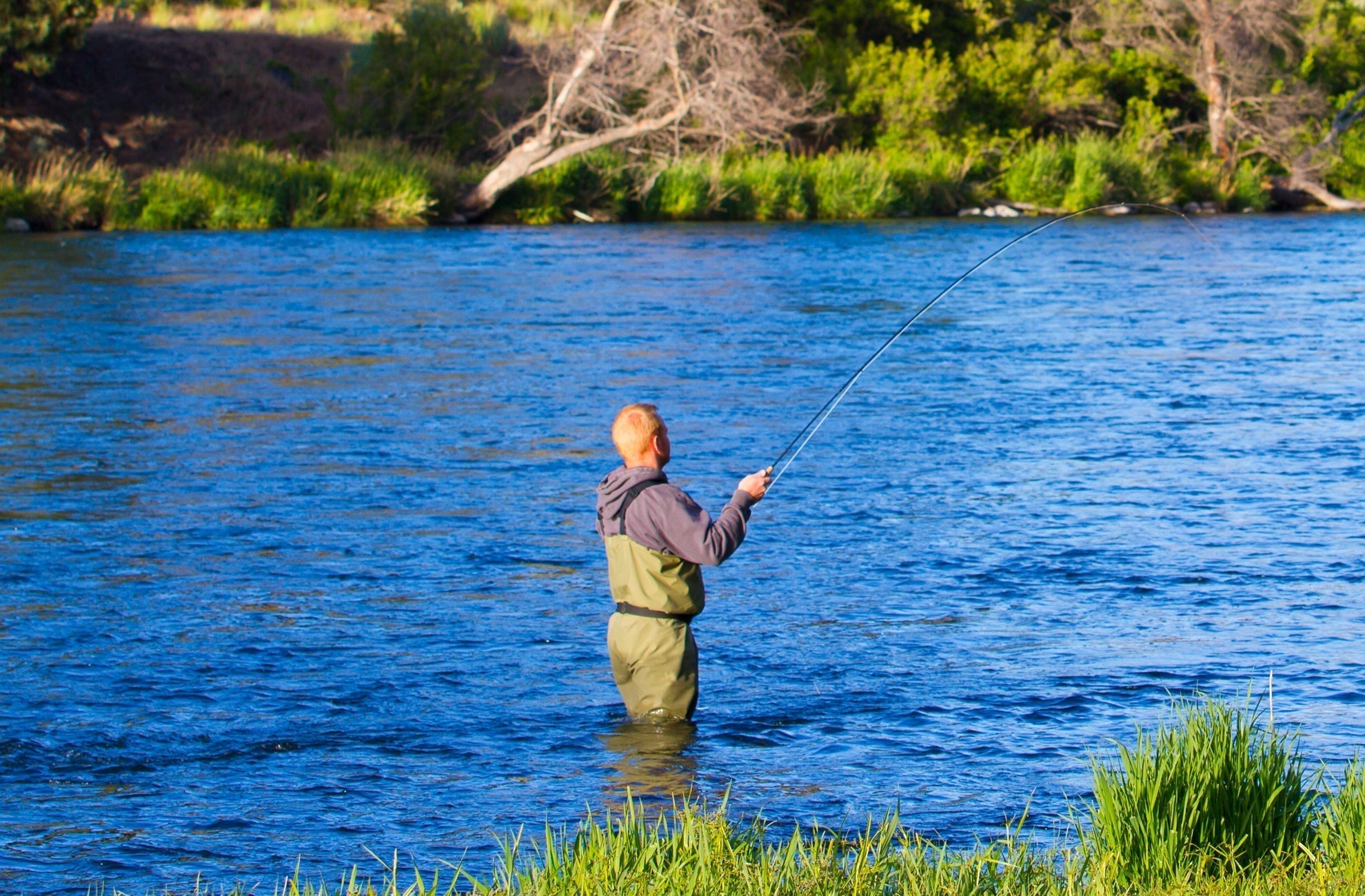 Barbless Pat's Barred Rubber Legs Tungsten Bead Jigged Black Euro Nymph  - Set of 6 Flies Hook Size 6