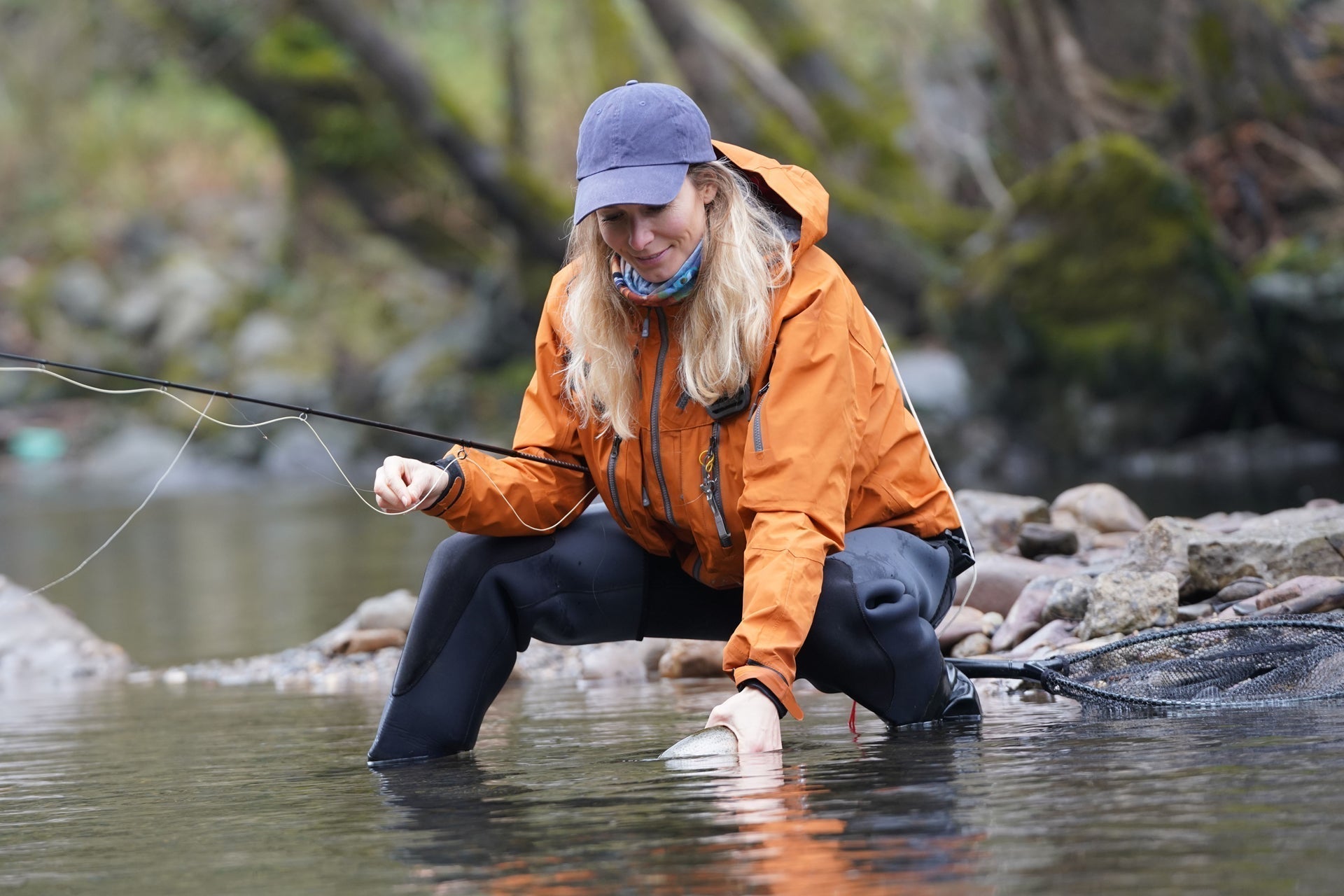 Light Cahill Classic Trout Dry Fly Fishing Flies - 6 Flies Size 12