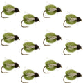 LaFontaine Olive Deep Sparkle Caddis Pupa - 1 Dozen Flies Hook Size 14