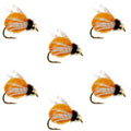 Bead Head LaFontaine Amber Deep Sparkle Caddis Pupa - 6 Flies Hook Size 12