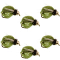 Bead Head LaFontaine Olive Deep Sparkle Caddis Pupa - 6 Flies Hook Size 18