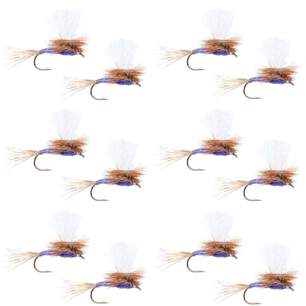 Parachute Purple Haze Dry Fly - 12 Flies Size 20