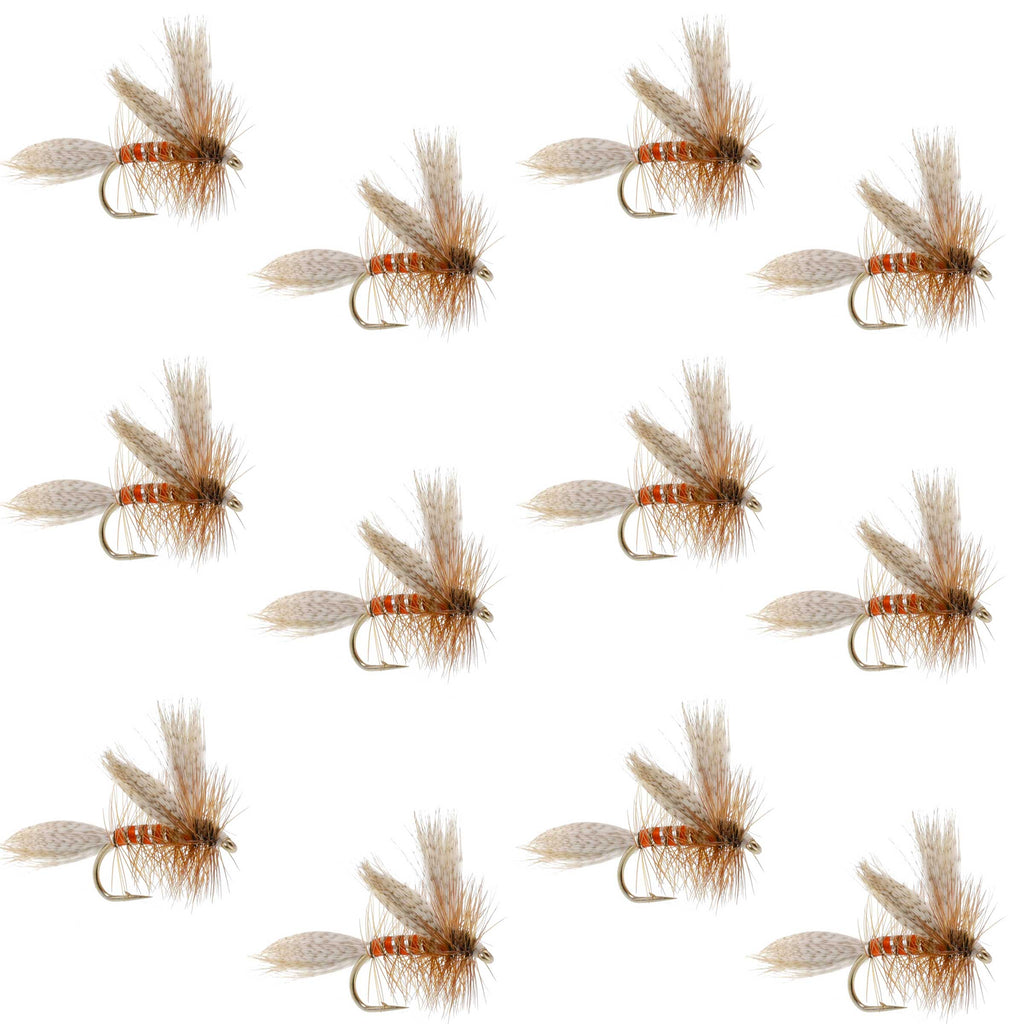 Queen Of The Waters Classic Dry Fly - 12 Flies Size 12