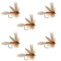 Queen Of The Waters Classic Dry Fly - 6 Flies Size 12