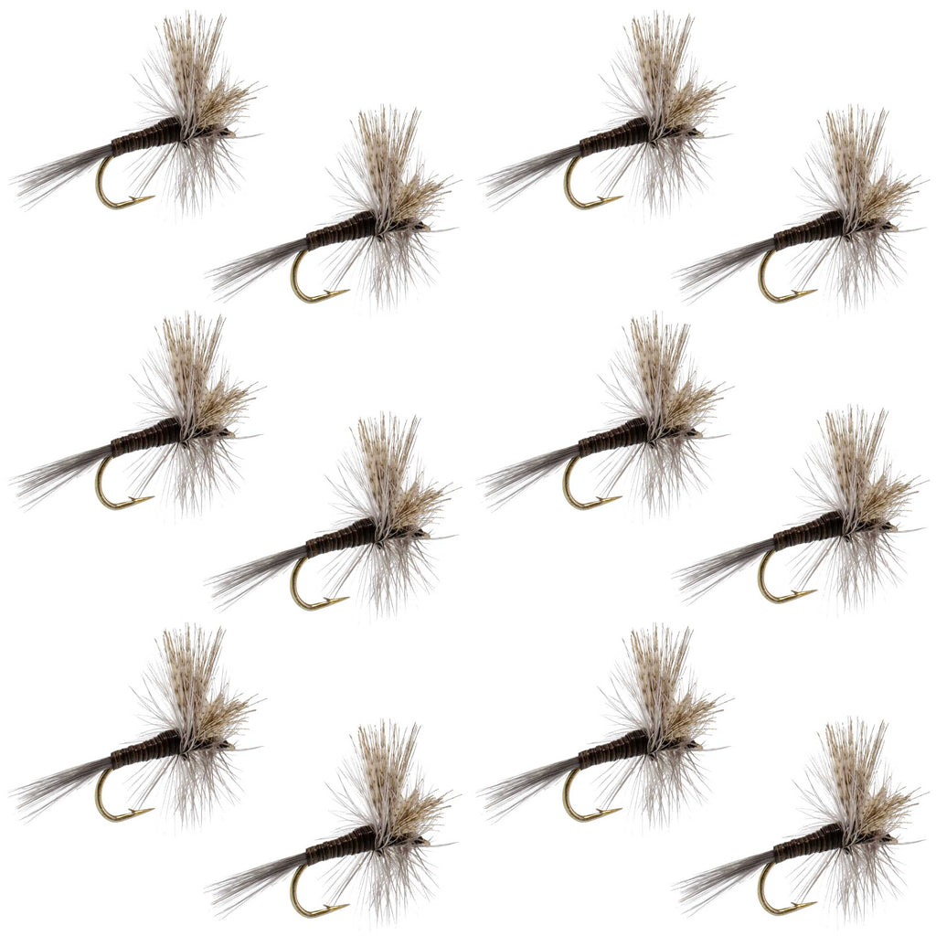 Quill Gordon Classic Dry Fly - 12 Flies Size 14