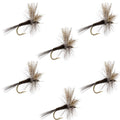 Quill Gordon Classic Dry Fly - 6 Flies Size 16