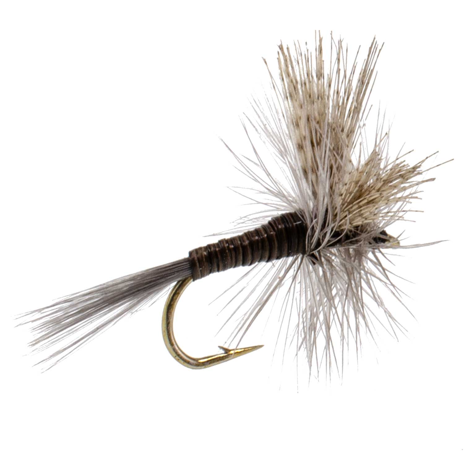 3 Pack Quill Gordon Classic Dry Fly - Size 18