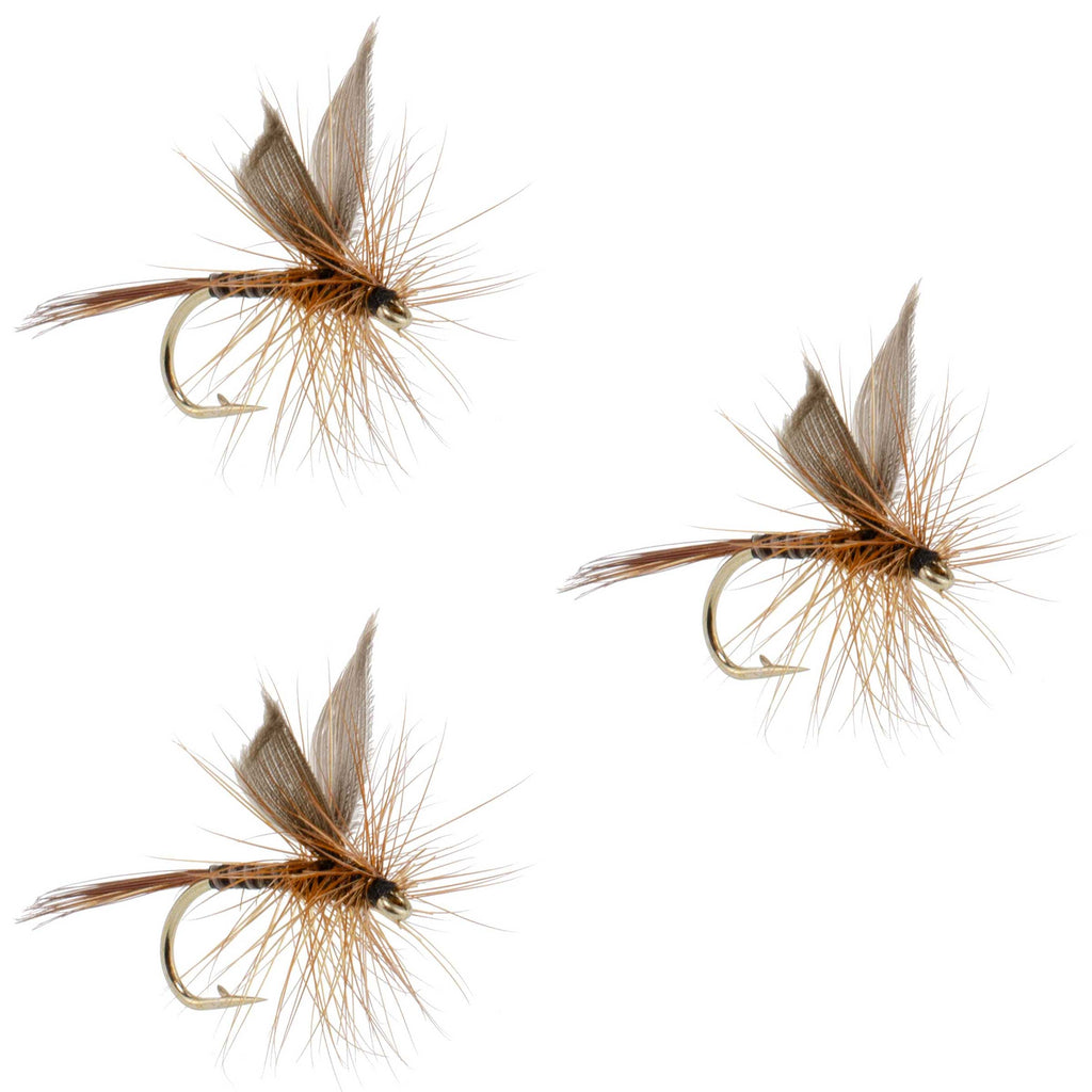 3 Pack Red Quill Classic Dry Fly - Size 16