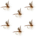 Red Quill Classic Dry Fly - 6 Flies Size 18