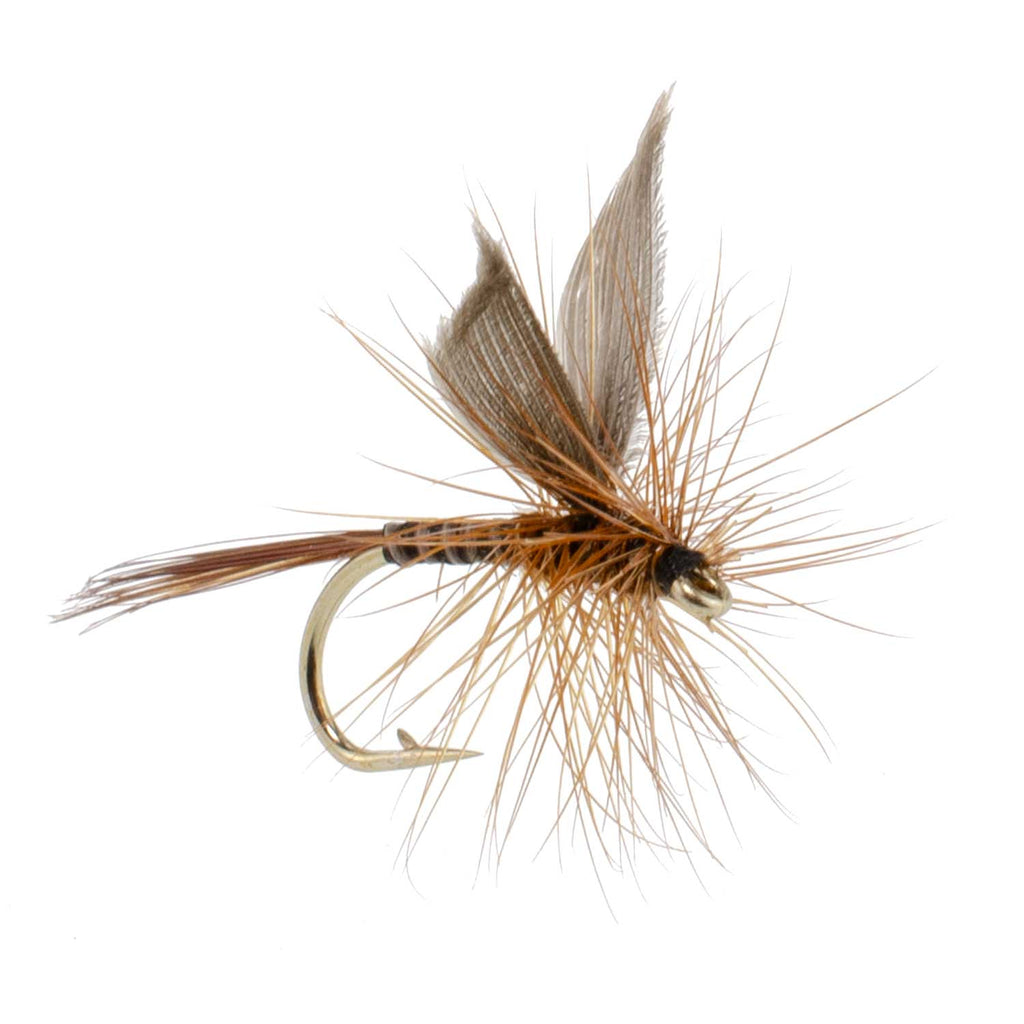 Red Quill Classic Dry Fly - 12 Flies Size 18