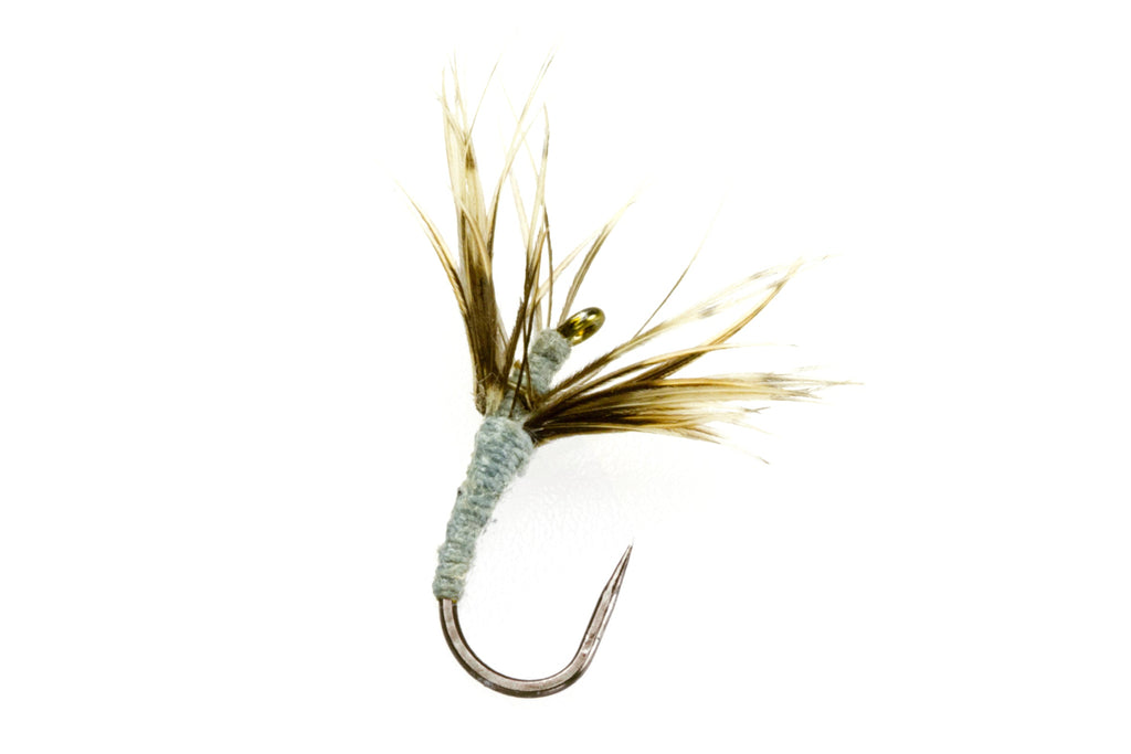 Amano 6-Pack Retail (Dealer only)