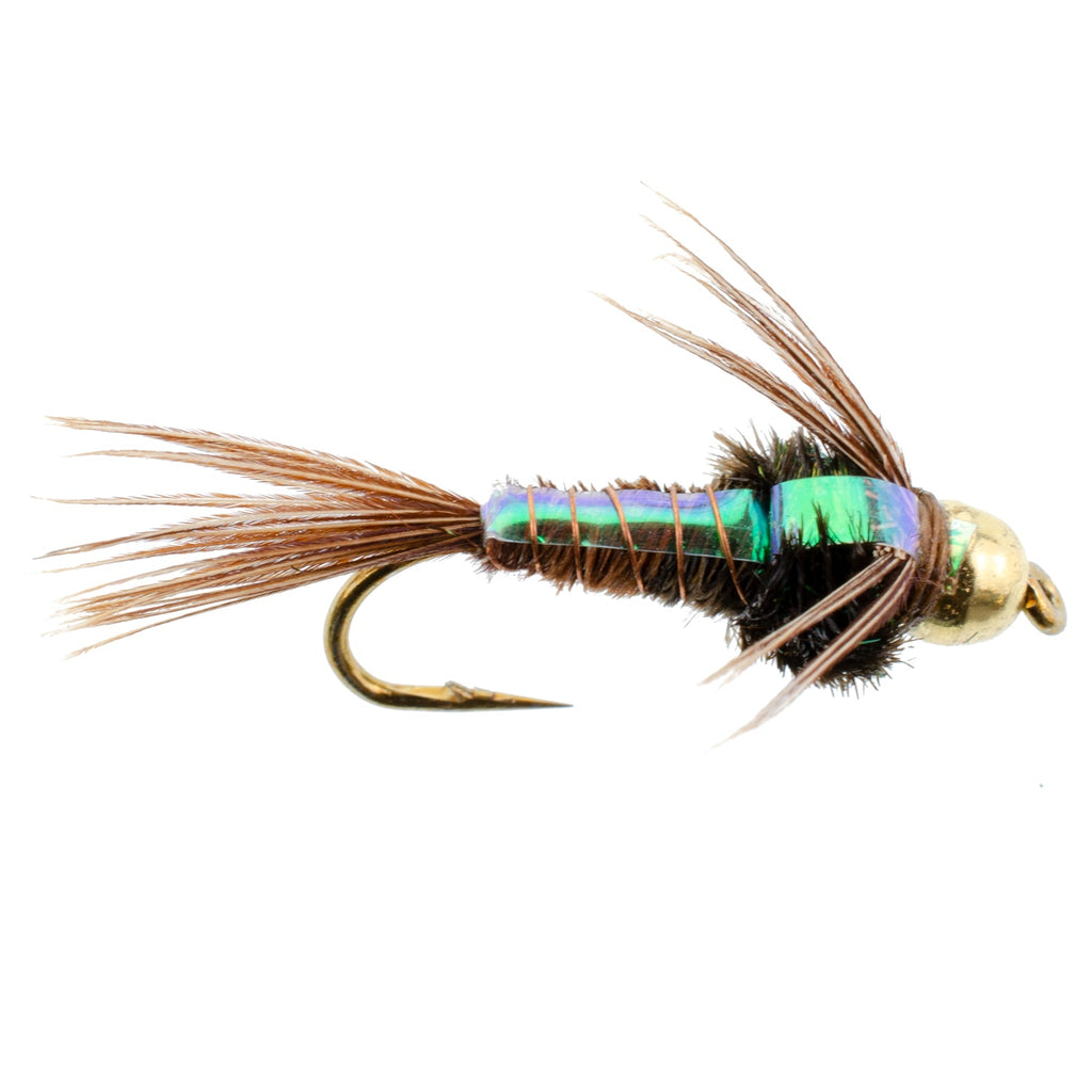 3 Pack Bead Head Flashback Pheasant Tail Nymph Fly Hook Size 16