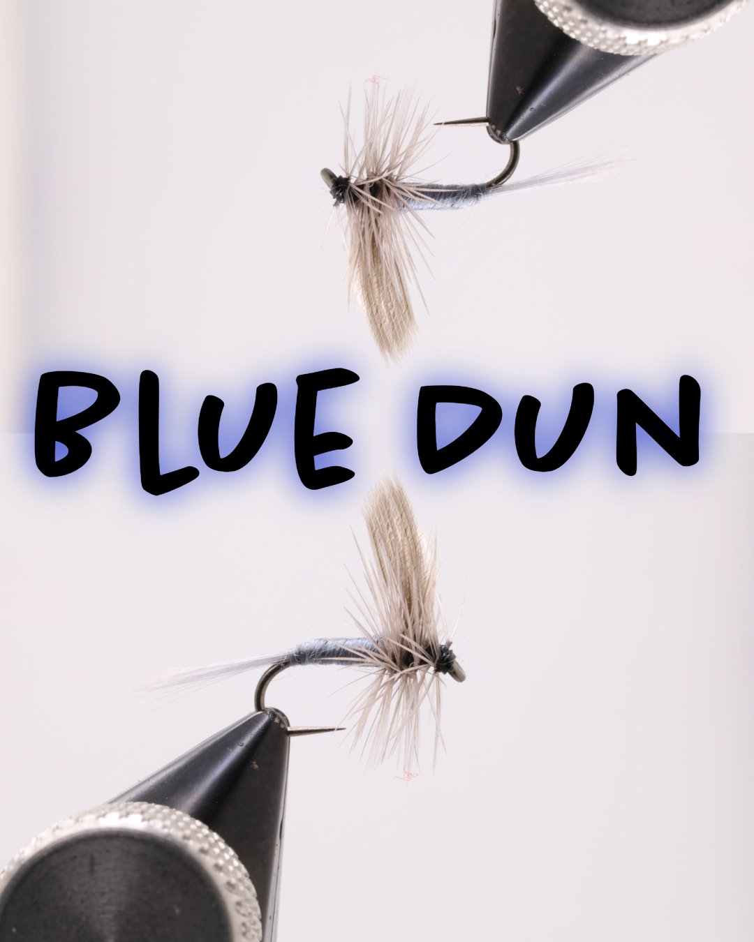 Blue Dun Fly