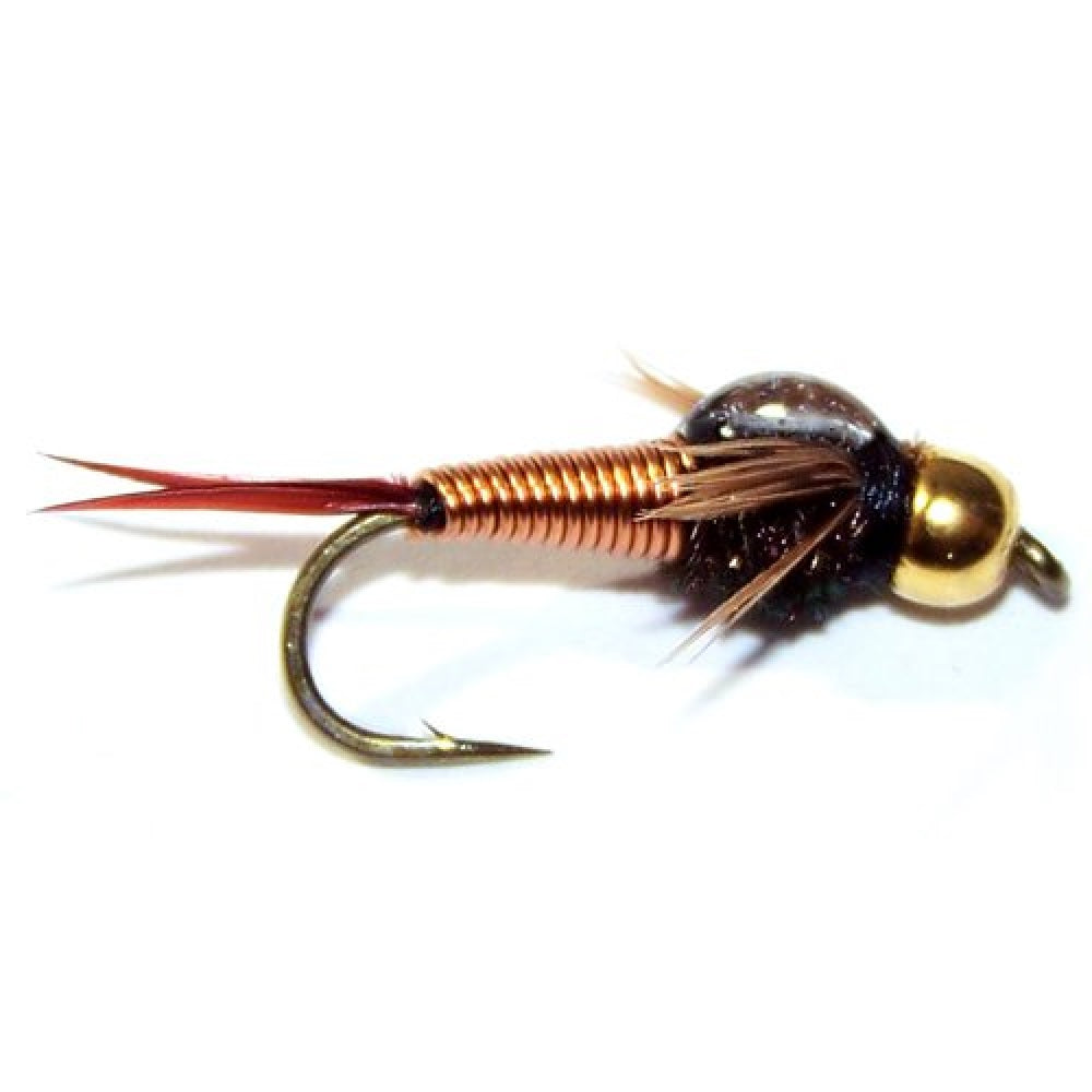 Basics Collection - Bead Head Nymph Assortment - 10 Wet Flies - 5 Patterns - Hook Sizes 12, 14, 16