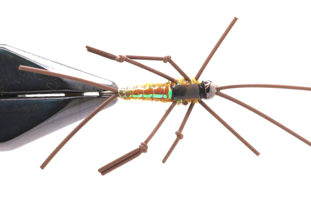 FB Stone Fly