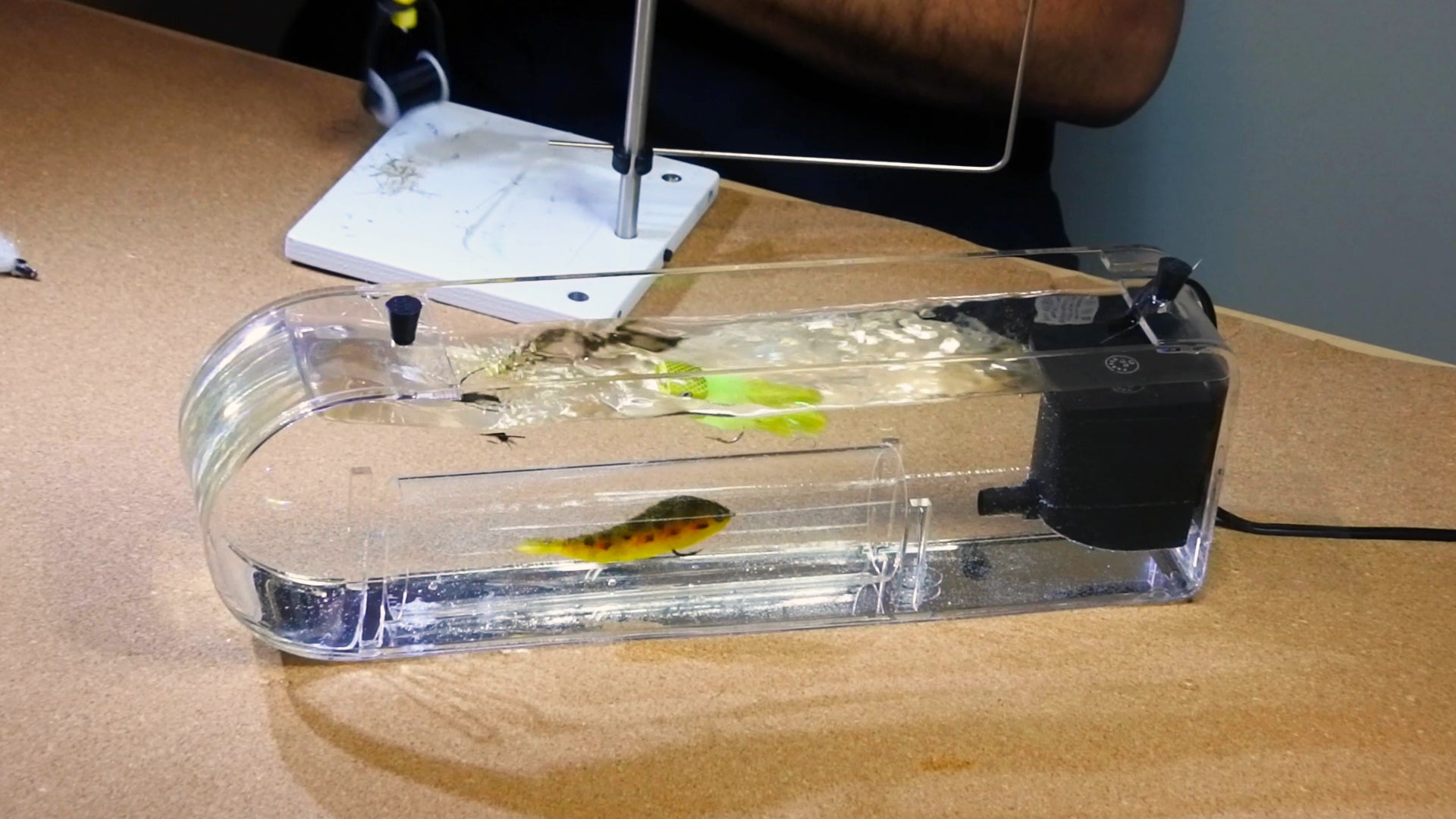 The Fly Tester™
