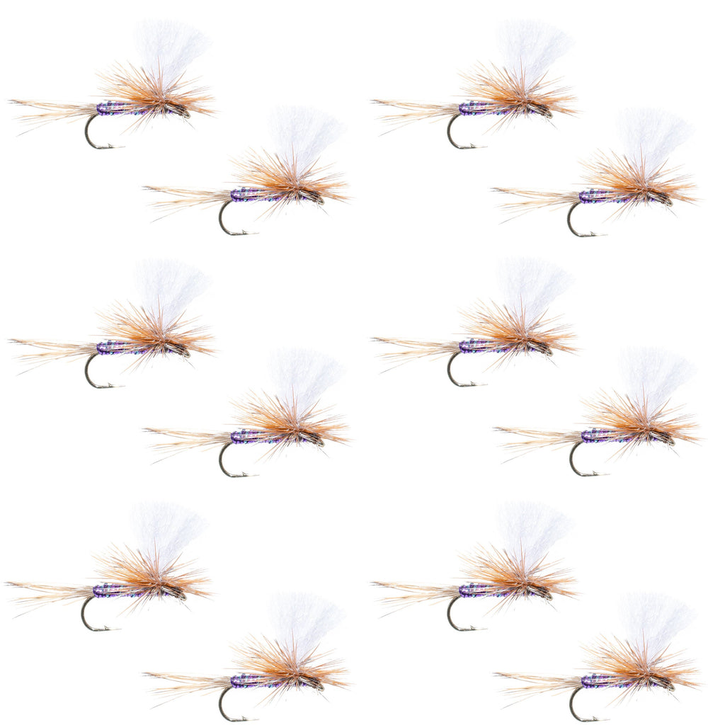 Parachute Super Flash Purple Haze Dry Fly - 12 Flies Size 18