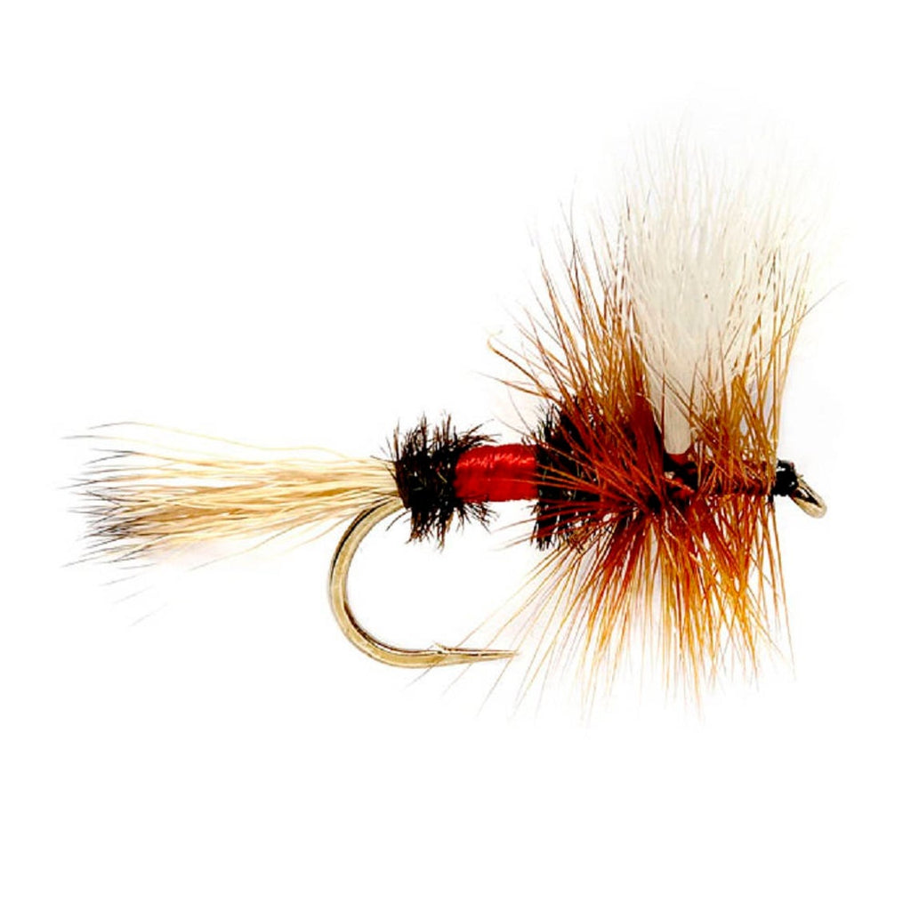 Royal Wulff Classic Trout Dry Fly Fishing Flies - Set of 6 Flies Size 18