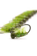 Scud Olive