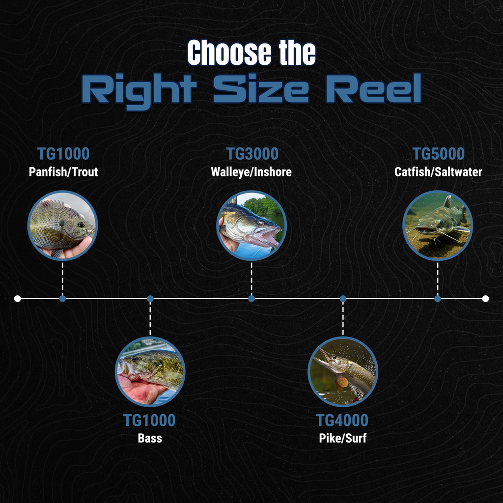 Reaction Tackle High-Performance Fishing Reels- Spinning Reel Series - NEW