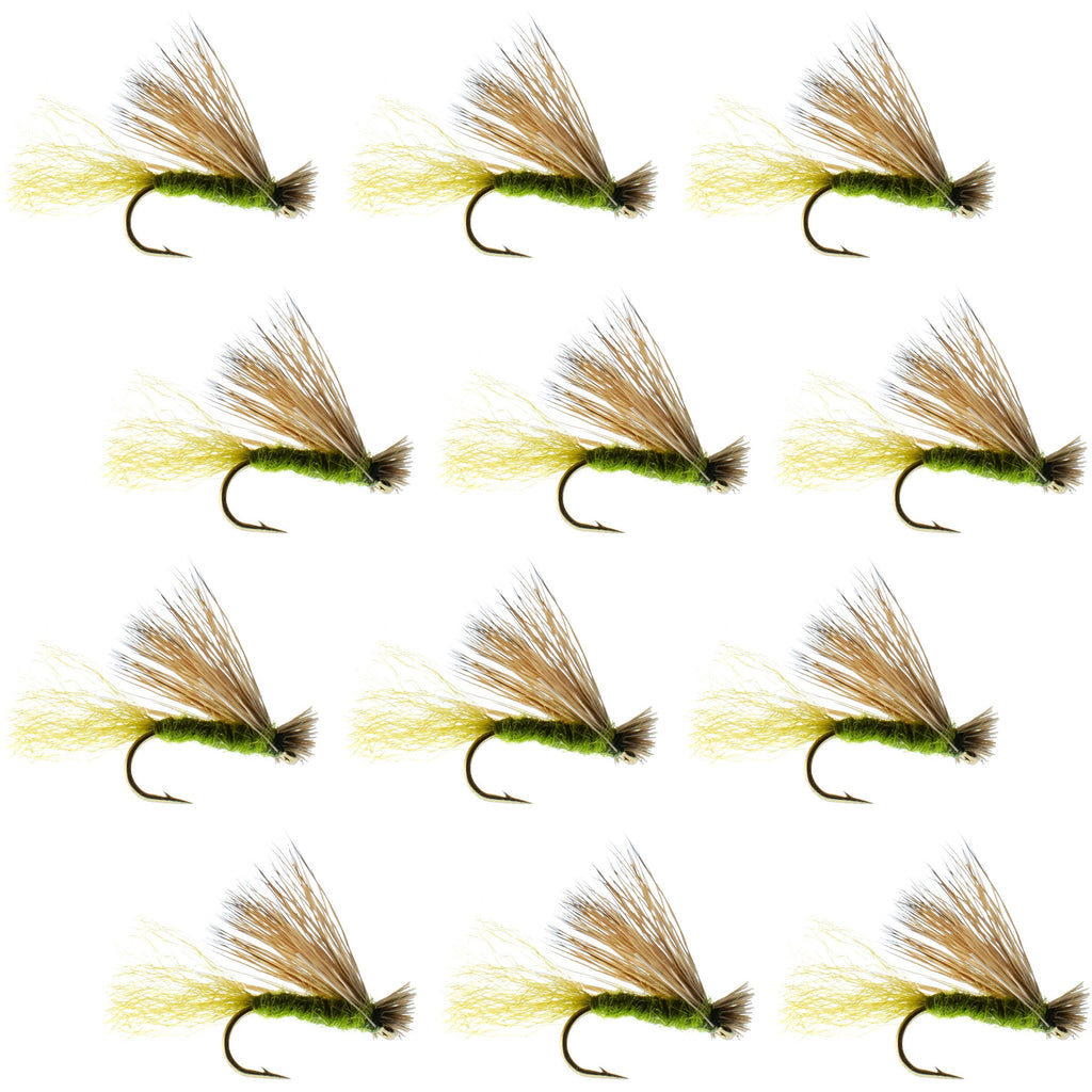 Barbless Olive X Caddis Emerging Caddis Adult Fly - 12 Flies Size 16