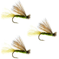 3 Pack Barbless Olive X Caddis Emerging Caddis Adult Fly - Hook Size 14